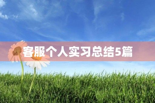 客服个人实习总结5篇 客服个人实习总结5篇