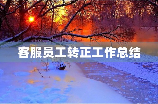 客服员工转正工作总结