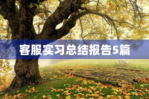 客服实习总结报告5篇