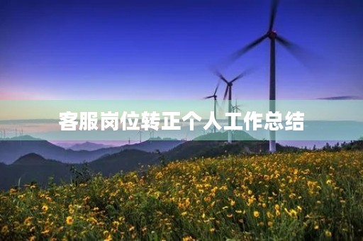 客服岗位转正个人工作总结