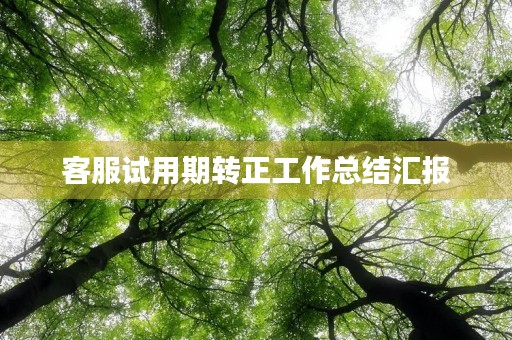 客服试用期转正工作总结汇报