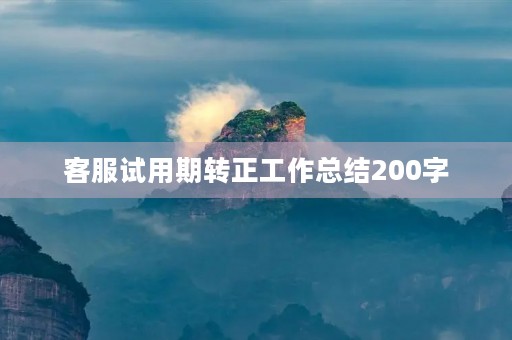 客服试用期转正工作总结200字