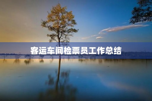客运车间检票员工作总结