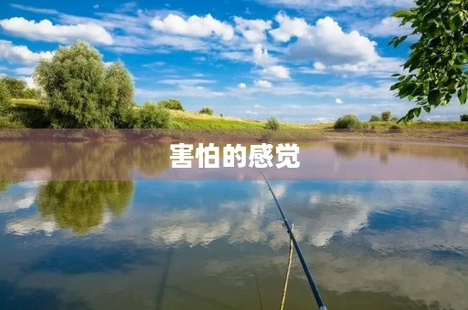 害怕的感觉 害怕的感觉