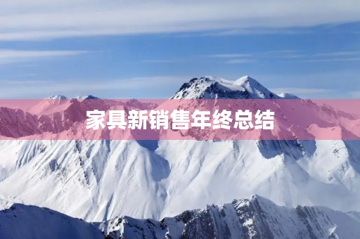 家具新销售年终总结