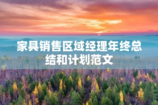 家具销售区域经理年终总结和计划范文