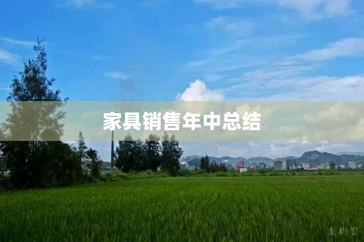 家具销售年中总结