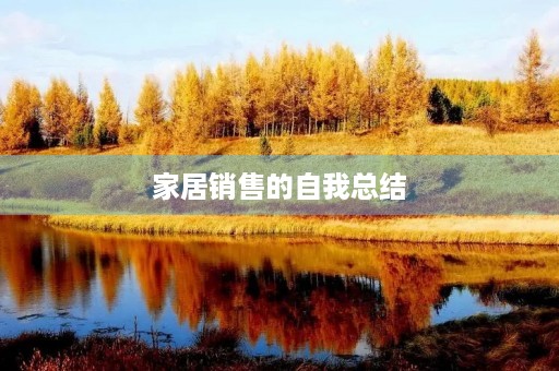 家居销售的自我总结