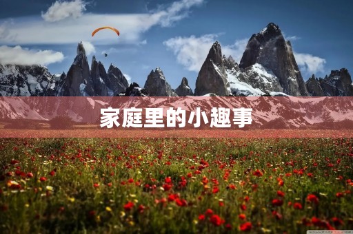 家庭里的小趣事