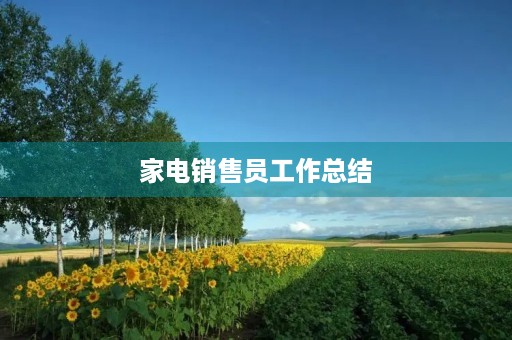 家电销售员工作总结