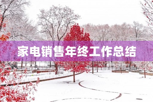 家电销售年终工作总结