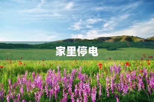 家里停电