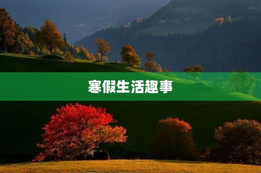 寒假生活趣事