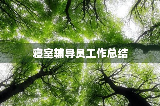 寝室辅导员工作总结
