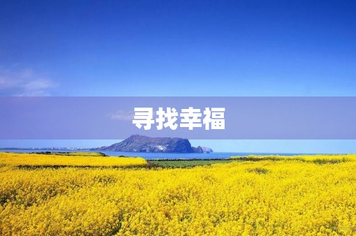 寻找幸福 寻找幸福
