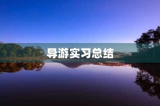 导游实习总结 导游实习总结
