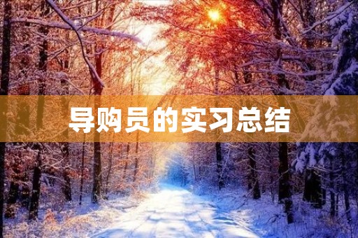 导购员的实习总结 导购员的实习总结