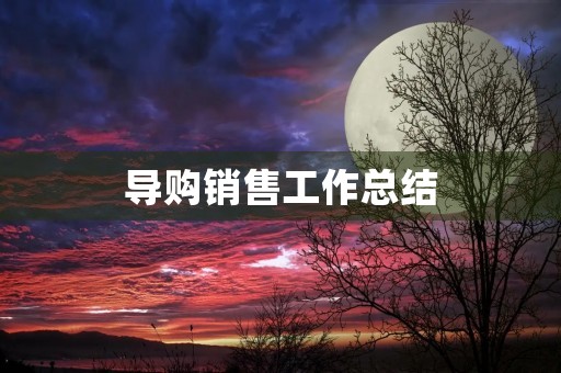 导购销售工作总结