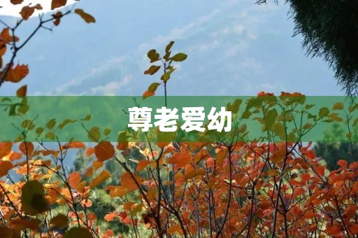 尊老爱幼 尊老爱幼