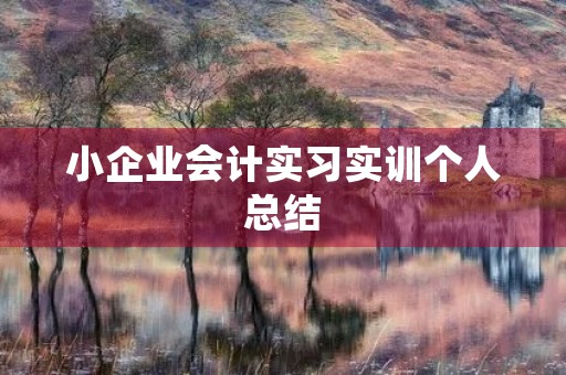 小企业会计实习实训个人总结