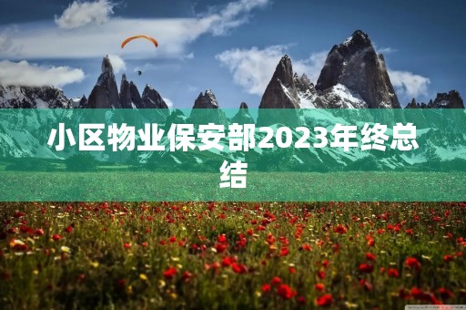 小区物业保安部2023年终总结