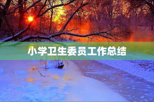 小学卫生委员工作总结