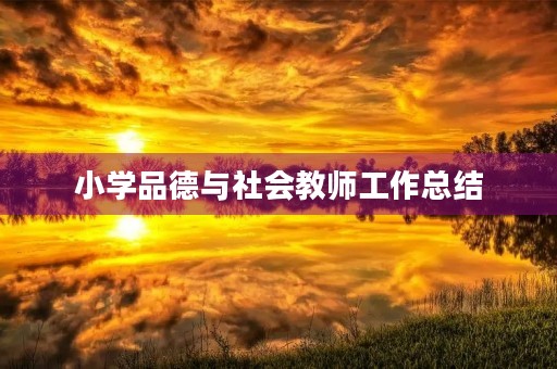 小学品德与社会教师工作总结
