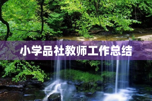 小学品社教师工作总结