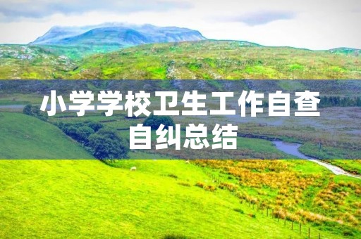 小学学校卫生工作自查自纠总结