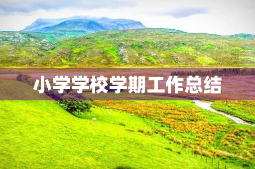 小学学校学期工作总结