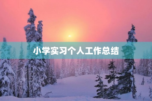 小学实习个人工作总结 小学实习个人工作总结
