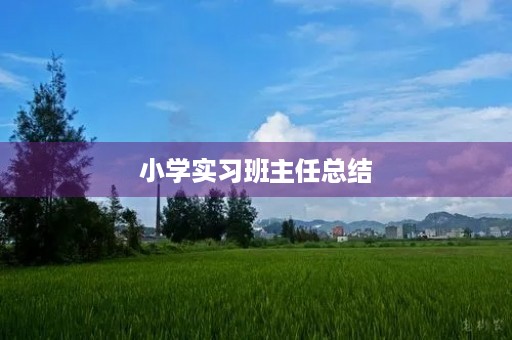 小学实习班主任总结 小学实习班主任总结