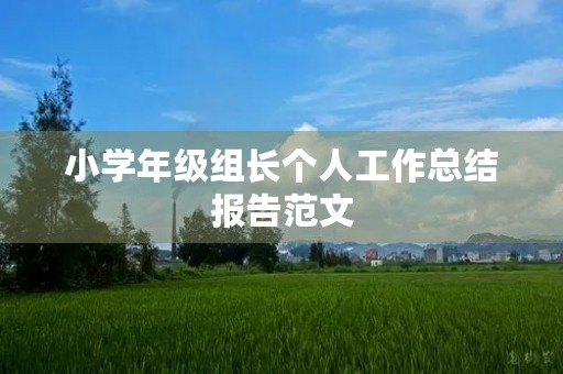 小学年级组长个人工作总结报告范文