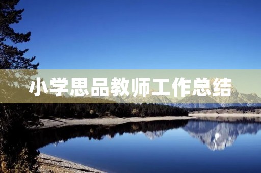 小学思品教师工作总结