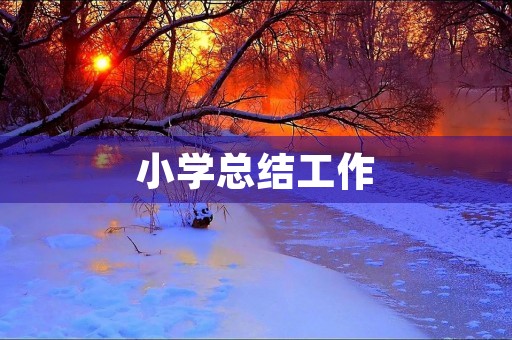 小学总结工作 小学总结工作