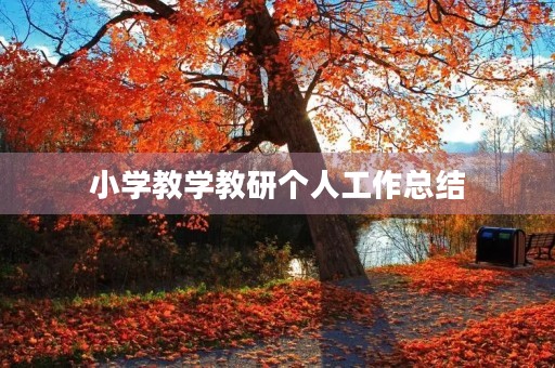 小学教学教研个人工作总结