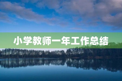 小学教师一年工作总结