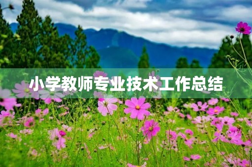 小学教师专业技术工作总结