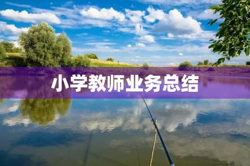小学教师业务总结