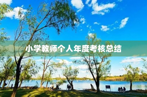 小学教师个人年度考核总结