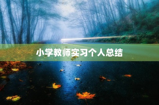 小学教师实习个人总结(7篇) 小学教师实习个人总结(7篇)