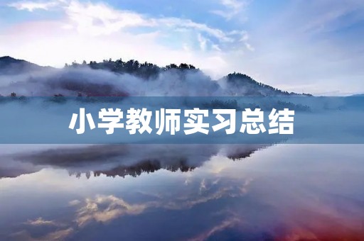 小学教师实习总结（7篇）