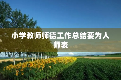 小学教师师德工作总结要为人师表