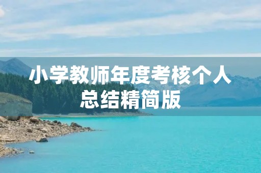 小学教师年度考核个人总结精简版