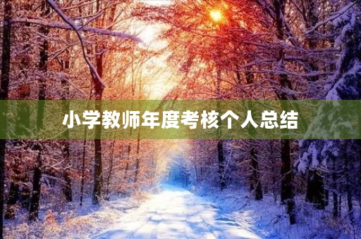 小学教师年度考核个人总结