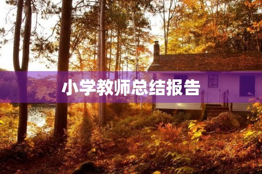 小学教师总结报告