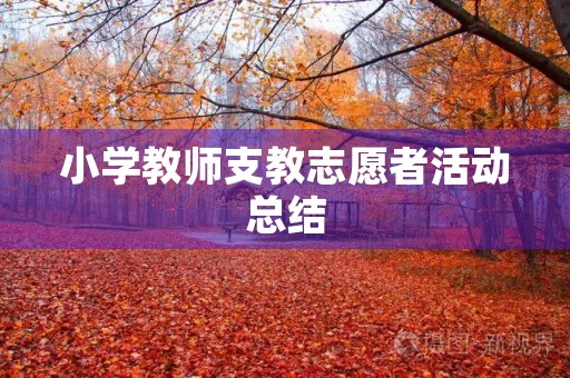 小学教师支教志愿者活动总结