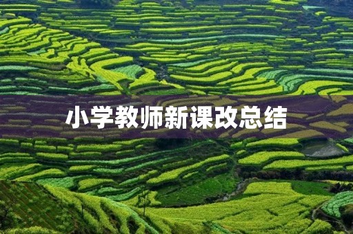 小学教师新课改总结