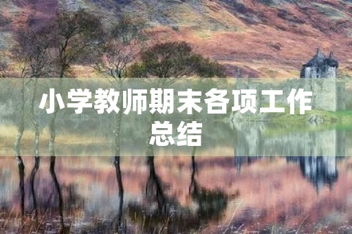 小学教师期末各项工作总结