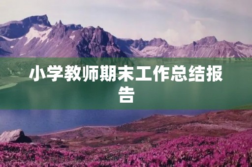 小学教师期末工作总结报告